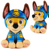 Psi Patrol || Chase